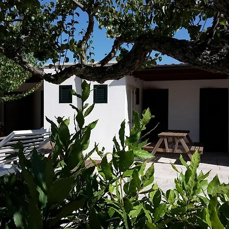 Agriturismo Vignavecchia Vignacastrisi Exterior photo