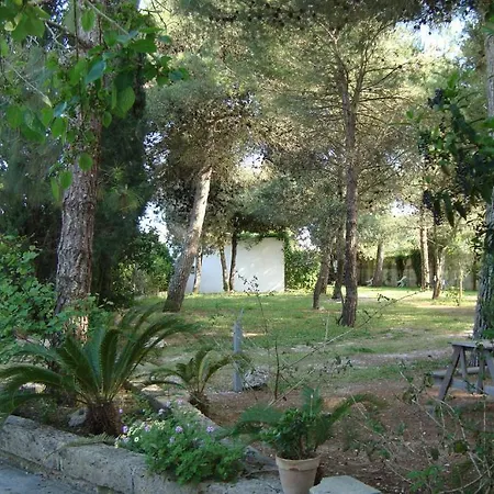 Agriturismo Vignavecchia Vignacastrisi Exterior photo