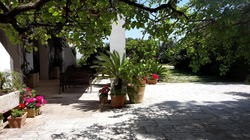 Vignavecchia
