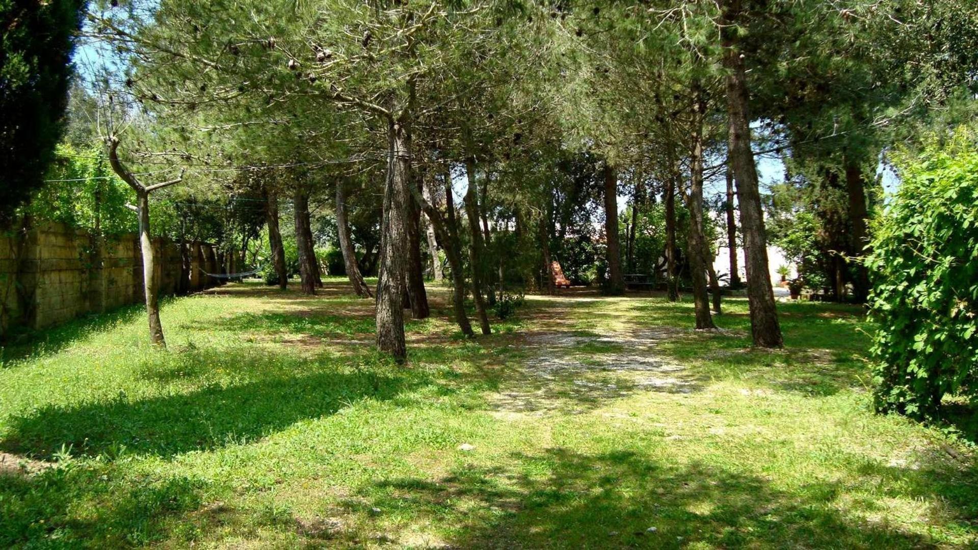 Vignavecchia *