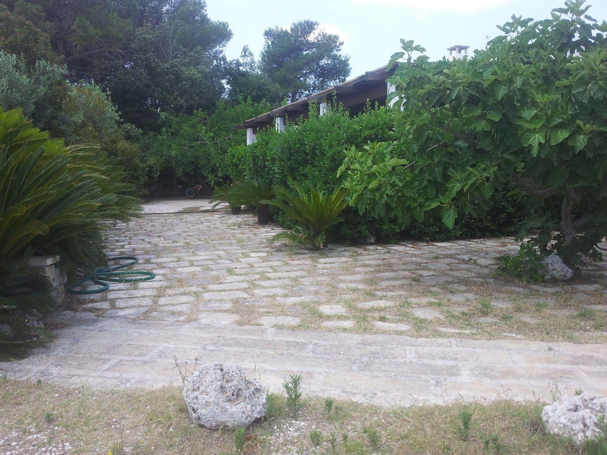 Vignavecchia *